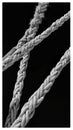 Ropes Royalty Free Stock Photo