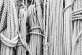Ropes of different thicknesses hang vertically in bundles on the wall. Black and white photo