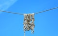 Ropes hanging from a rope. Royalty Free Stock Photo