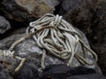 Ropes from an old sailing boat, close-up Royalty Free Stock Photo