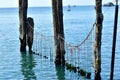 Ropes and wooden posts in the sea