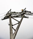 Ropeway in Moscow which connects Luzhniki sportsa area and Vorobyovy hills.