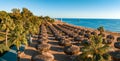 ropical landscape with palm trees, parasols, white sand, ocean. Royalty Free Stock Photo