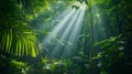 Generative AI Illustration Tropical rain forest landscape with sun rays emerging though the green tree branches Royalty Free Stock Photo