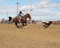 Roping calves at the rodeo