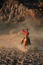 Roping Cowboy