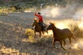 Roping at Dusk