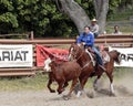 Roping Royalty Free Stock Photo