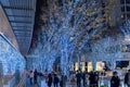 Roppongi Hills winter illumination festival ( Keyakizaka Galaxy Illuminations )