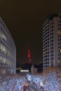 Roppongi Hills winter illumination festival ( Keyakizaka Galaxy Illuminations )