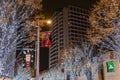 Roppongi Hills winter illumination festival ( Keyakizaka Galaxy Illuminations )