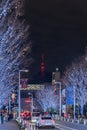 Roppongi Hills winter illumination festival ( Keyakizaka Galaxy Illuminations )