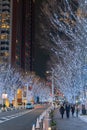 Roppongi Hills winter illumination festival ( Keyakizaka Galaxy Illuminations )