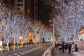 Roppongi Hills winter illumination festival ( Keyakizaka Galaxy Illuminations )