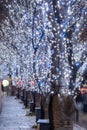 Roppongi Hills winter illumination festival ( Keyakizaka Galaxy Illuminations )