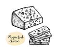 Roquefort cheese ink sketch.