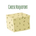 Roquefort cheese with mould. Dairy milky product. Flat style.