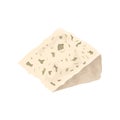 Roquefort cheese on white background. Vector illustration.