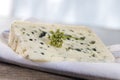 Roquefort soft blue french cheese Royalty Free Stock Photo