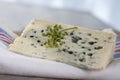 Roquefort soft blue french cheese Royalty Free Stock Photo