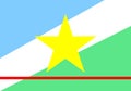 Roraima flag Brazil