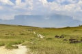 Roraima Table Mount Called in Pemon Indians Language Roraima Tepui with the Trekking Path to Roraima Summit , La Gran Sabana,