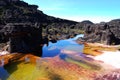 Roraima - Venezuela Royalty Free Stock Photo