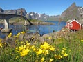 Rorbu hut on Lofoten