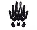 Rorschach test Royalty Free Stock Photo