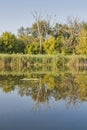 Ros river landscape Royalty Free Stock Photo