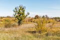 Ros river valley autumn landscape at sunset, Ukraine Royalty Free Stock Photo