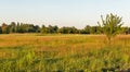 Ros river valley landscape at sunset, Ukraine Royalty Free Stock Photo