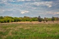 Ros River valley summer rural landscape, Ukraine Royalty Free Stock Photo