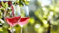Rose wine being poured into glasses outdoors Royalty Free Stock Photo