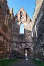 Rosa coeli, ruins church and monastery, Dolni Kounice