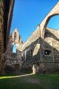 Rosa coeli, ruins church and monastery, Dolni Kounice