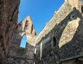 Rosa coeli, ruins church and monastery, Dolni Kounice