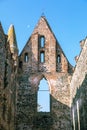 Rosa coeli, ruins church and monastery, Dolni Kounice