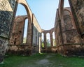 Rosa coeli, ruins church and monastery, Dolni Kounice