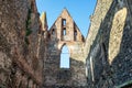 Rosa coeli, ruins church and monastery, Dolni Kounice