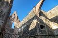 Rosa coeli, ruins church and monastery, Dolni Kounice