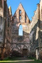 Rosa coeli, ruins church and monastery, Dolni Kounice