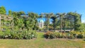 Rosarium with gazebo in the rose garden Guldemondplantsoen in Boskoop