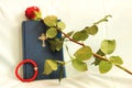 Rosary, bible and roses Royalty Free Stock Photo