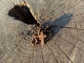 Rosary, The Catholic symbol of faith on wooden table. Top view.