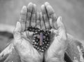 Rosary in hand. Senior woman holding rosary with Jesus Christ holy cross crucifix in hands in black and white background..