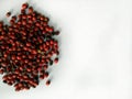 Rosary Pea or Abrus precatorius also known as Jequirity or prayer bean is herb flowering plant in the bean family.