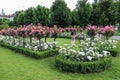 Rosary in Volksgarten park in Vienna, Austria. Beautiful flowering of roses. June 01,2014