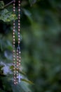 Rosary with wooden beads and metal medallion