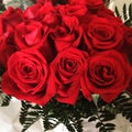 Rosas rojas Royalty Free Stock Photo